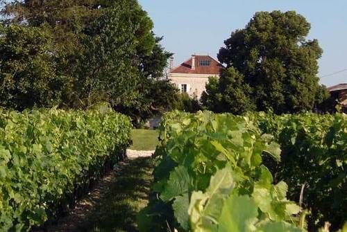 Domaine De Quittignan Brillette Hotell Moulis-en-Médoc Exteriör bild